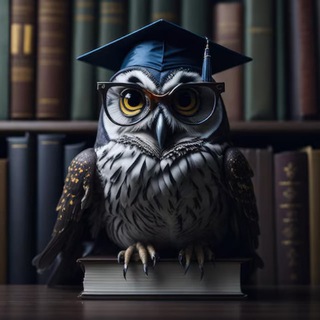 Мудрый Канал 📚