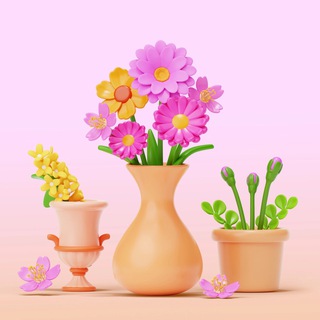 Комнатные Растения и Цветы