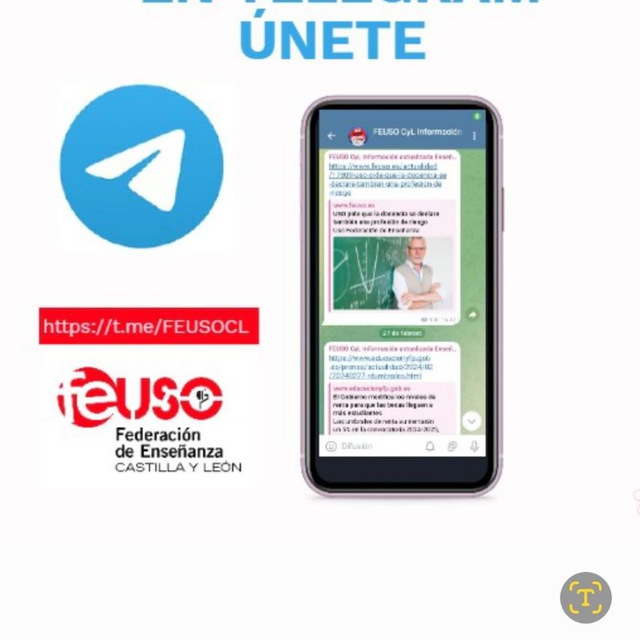 FEUSO CyL Información actualizada Enseñana Laboral Formación Becas