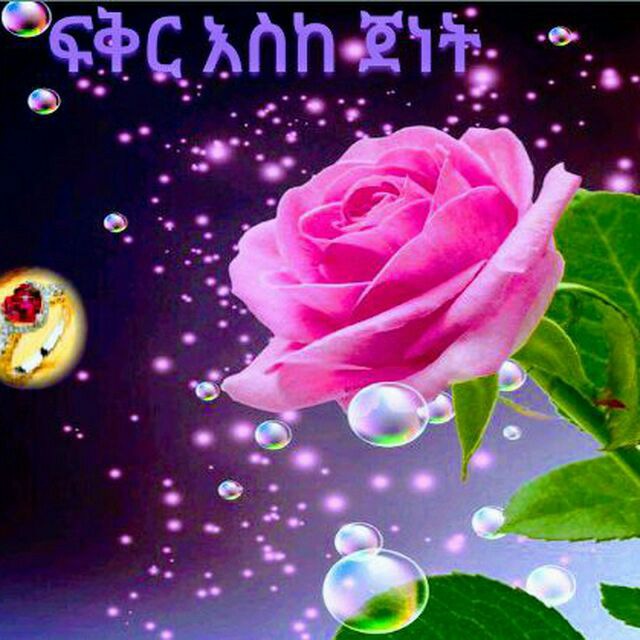 ፍቅር እስከ ጀነት (𝑹𝙖𝙢𝙖𝙨)