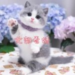 🌱北部正妹名單密@gg9875