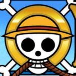 One Piece Fans®