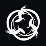 Salamandra PY