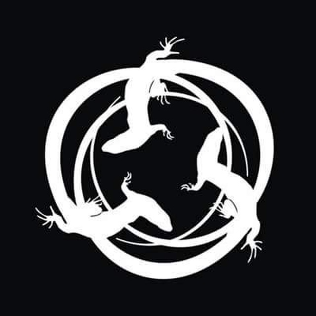 Salamandra PY