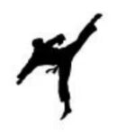 Artes Marciales