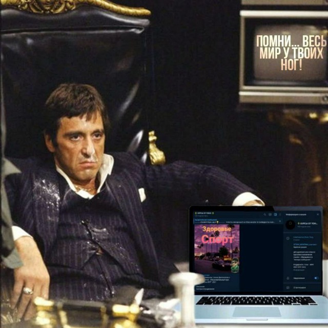 ⚜️ КУРСЫ ОТ ТОНИ ⚜️