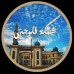 شبكة فلوجيين