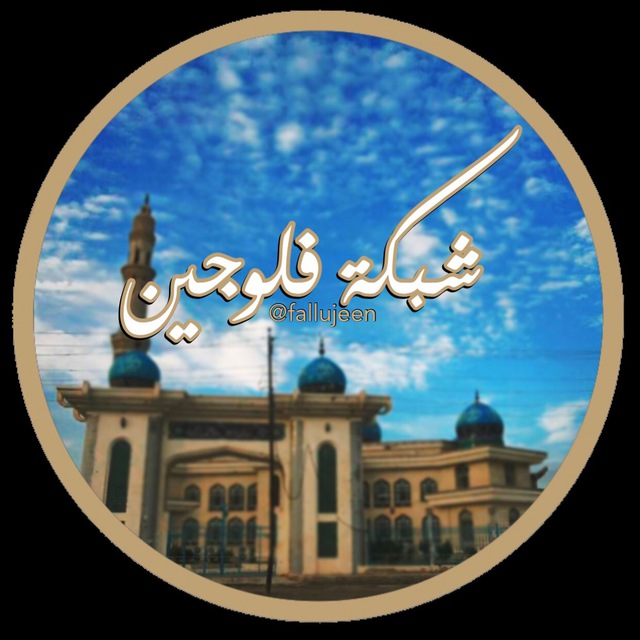 شبكة فلوجيين