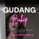 GUDANG STREAMING