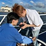Nomin thread au/wp