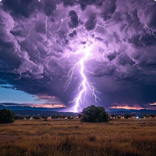 Загадки природы