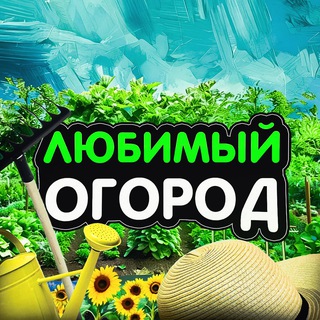 Любимый огород