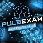 PULSEXAM | ОТВЕТЫ 2025