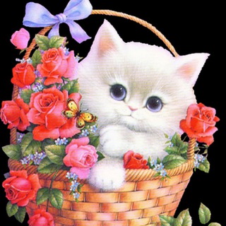 ОТКРЫТКИ И ПОЖЕЛАНИЯ💖