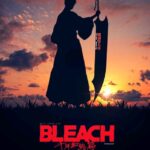 BLEACH VF