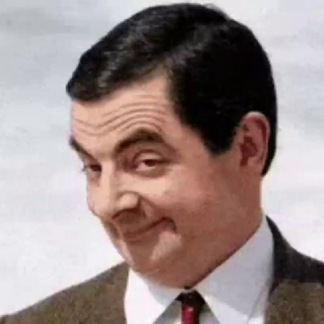 Best Funny Videos 