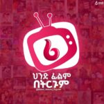 ህንድ ፊልም በትርጉም