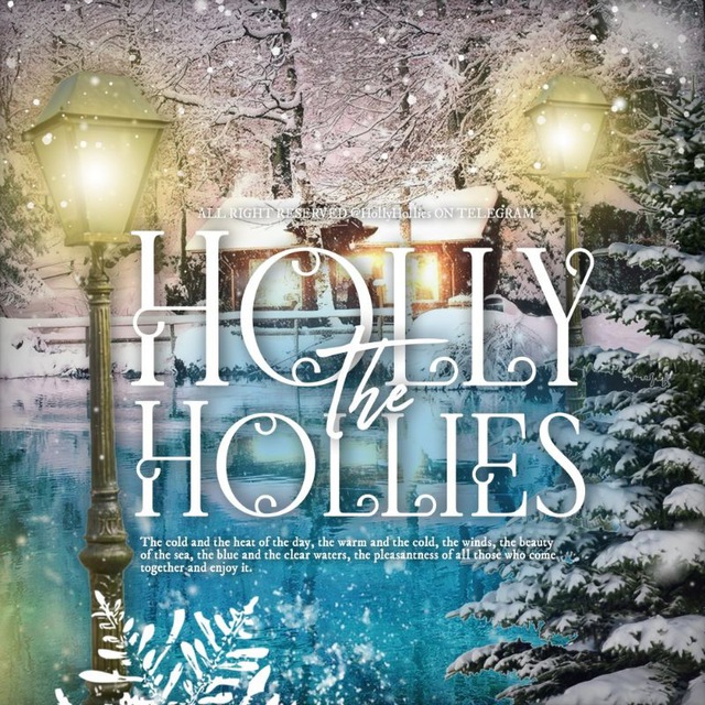 HOLLYHOLLIES : OPEN YUK