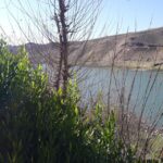 Enseñanza Persa فارسی پارسی