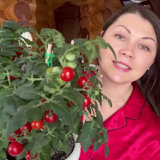 Машины секреты💚
