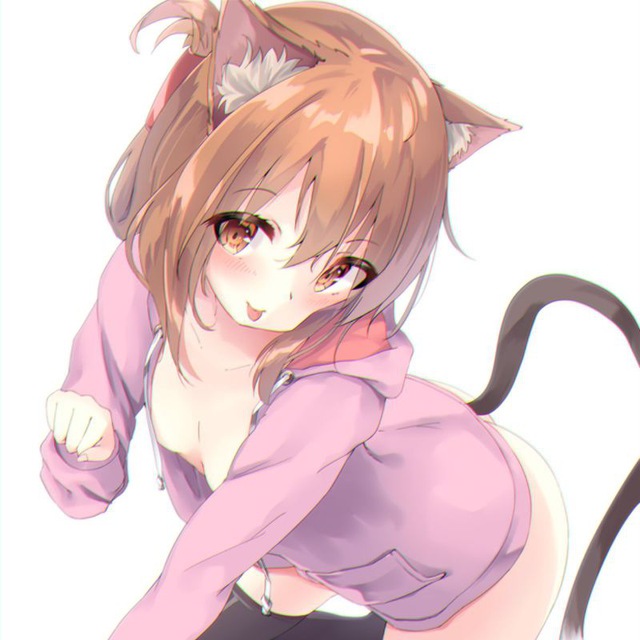 喵喵小喵喵