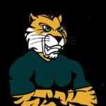 Tiger Insight Community™️