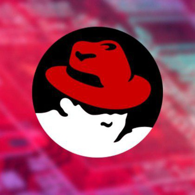 全球主流新闻媒体中文速览