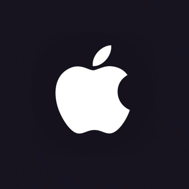 Apple Watch 用户