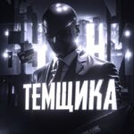 БУДНИ ТЕМЩИКА