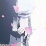 小小布吉岛闲聊群~