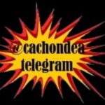 CANAL CACHONDEO VIDEOS DIARIOS DE HUMOR MEMES, MUCHA GUASA Y DIVERSIÓN. RISAS GARANTIZADAS 🤣🤣🤣