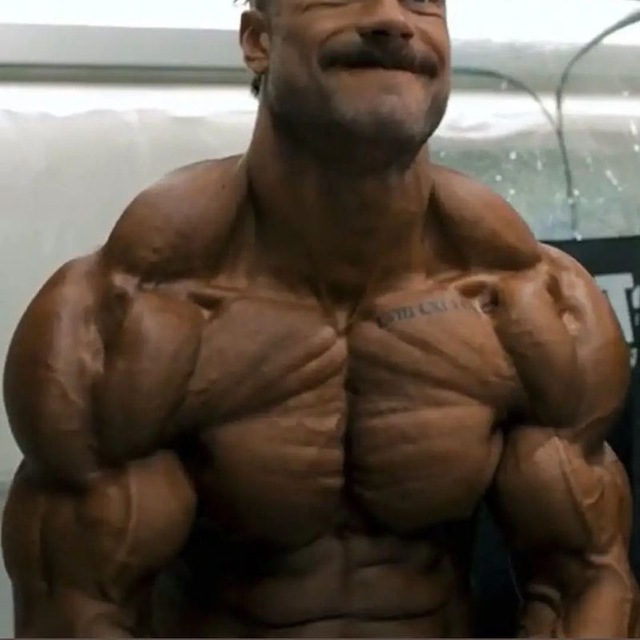 Culturismo & fitness canal 💯