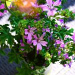 豆瓣知乎简书微信公众号💐