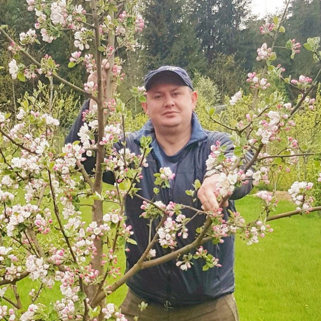 САД Дмитрия forumsad Дача, ландшафт, плодовые