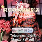 🇯🇵玲奈東京デリヘル【日本の风俗情报局】