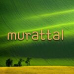 Murottal