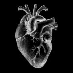 Голос сердца