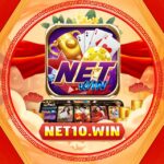 Netwin Đẳng Cấp Top 1