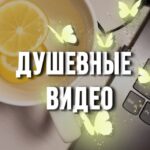 Душевные видео 🦋 Видео для сторис | Reels | Фоны