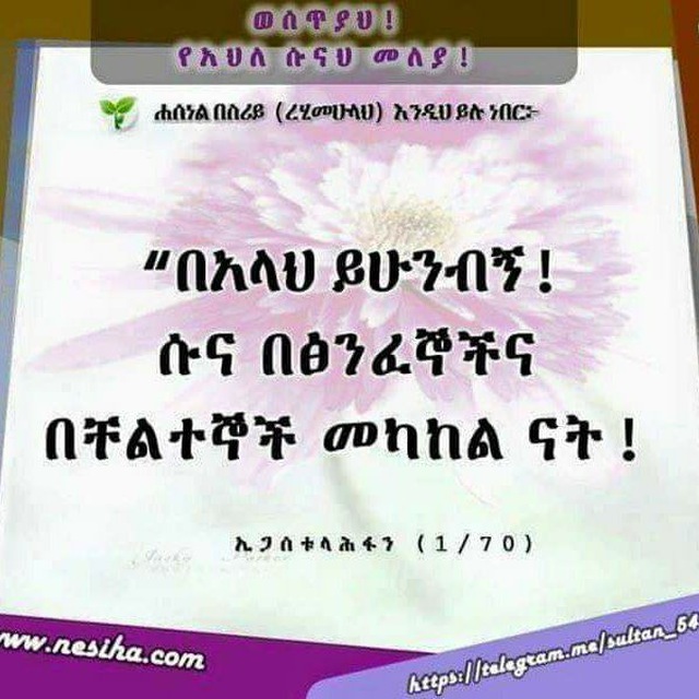 የኡስታዝ ሱልጣን ኸድር የትምህርት መድረክ (official)