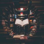 Tamil Books and Novels • தமிழ் நாவல்கள் & நூல்கள்