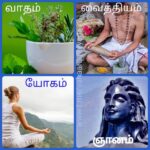 வாதம் ☯ வைத்தியம்