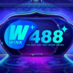 WINK488PLUS