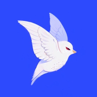 птенец