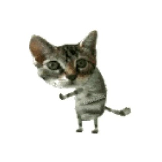 Котоголизм