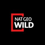 Nat Geo Wild