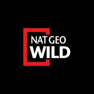 Nat Geo Wild
