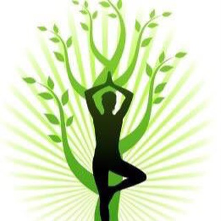 Твоё Здоровье