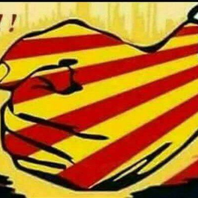 ATUREM CAT