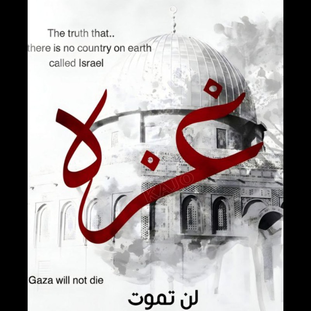 أخبار غزة الان